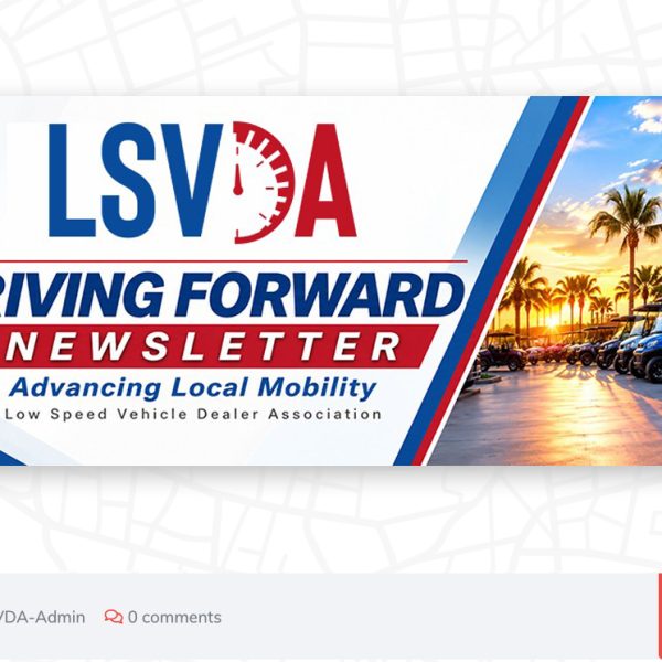 LSVDA Newsletter October 2026